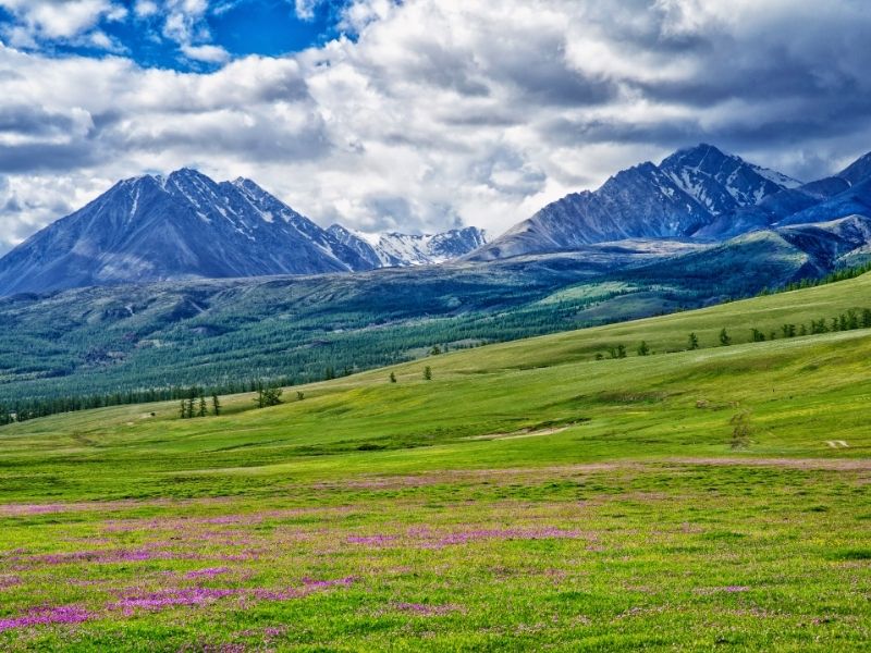 green steppe with dark blue mountains and clouds